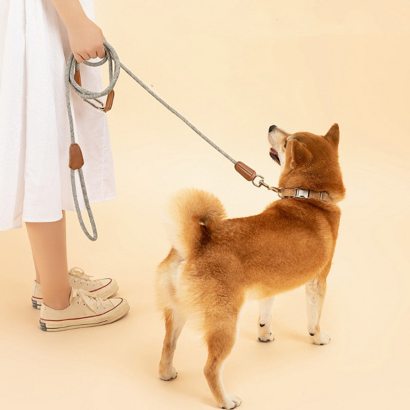 Wearing the Waypoint leash crossbody
